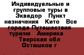 Индивидуальные и групповые туры в Эквадор › Пункт назначения ­ Кито - Все города Путешествия, туризм » Америка   . Тверская обл.,Осташков г.